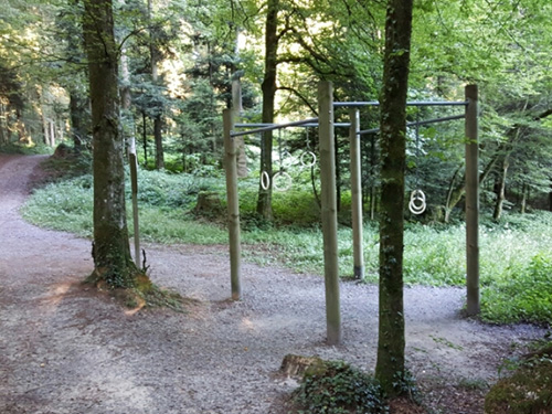 Vita-Parcours im Meggerwald.