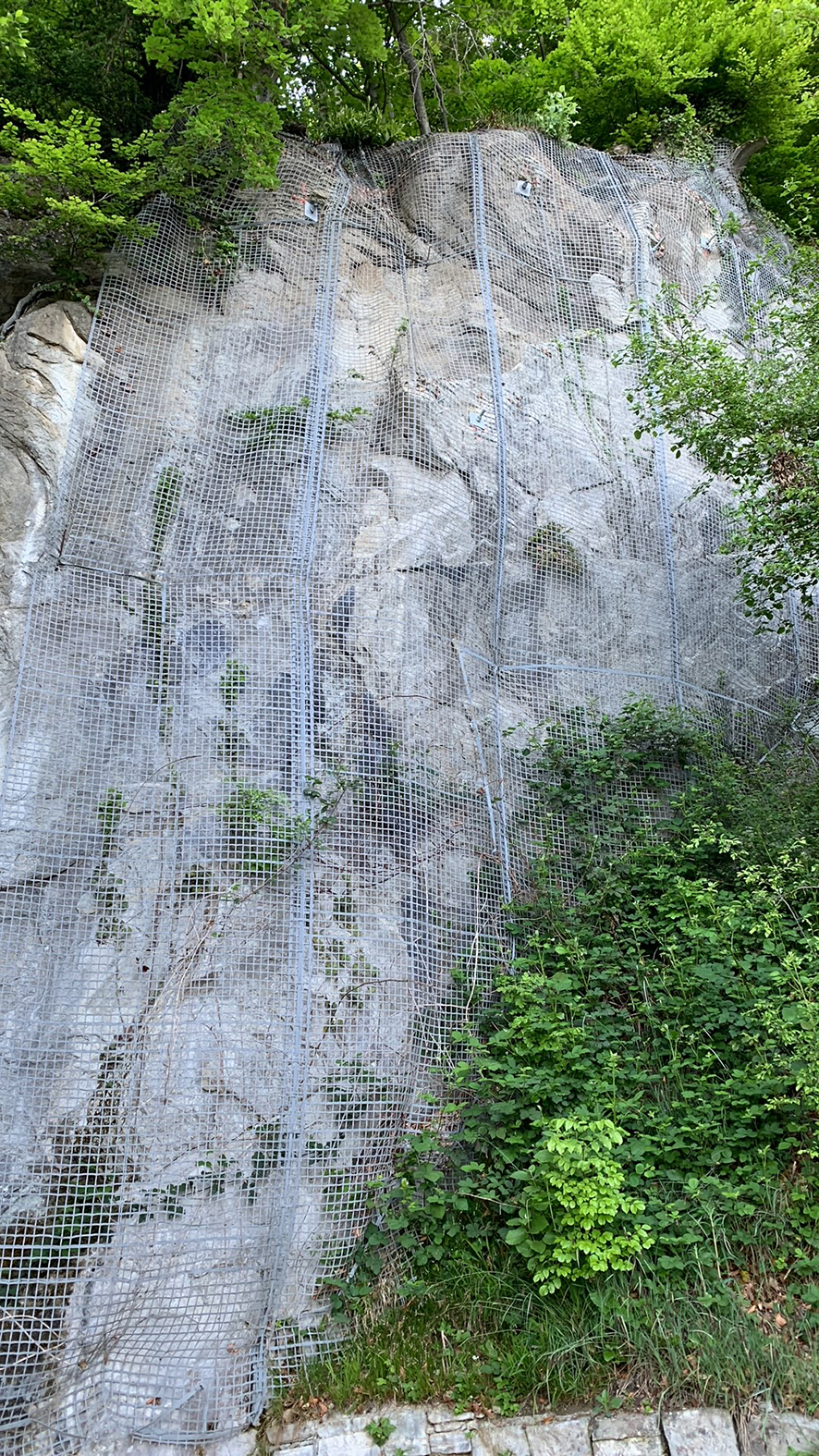  Die bestehende Felssicherung aus Kunststoff muss durch ein Stahlnetz ersetzt werden.